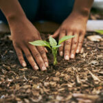 Take Your Online Donation  to the Next Level!